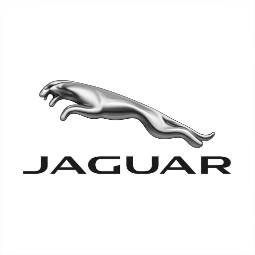 JAGUAR 10527 Genuine